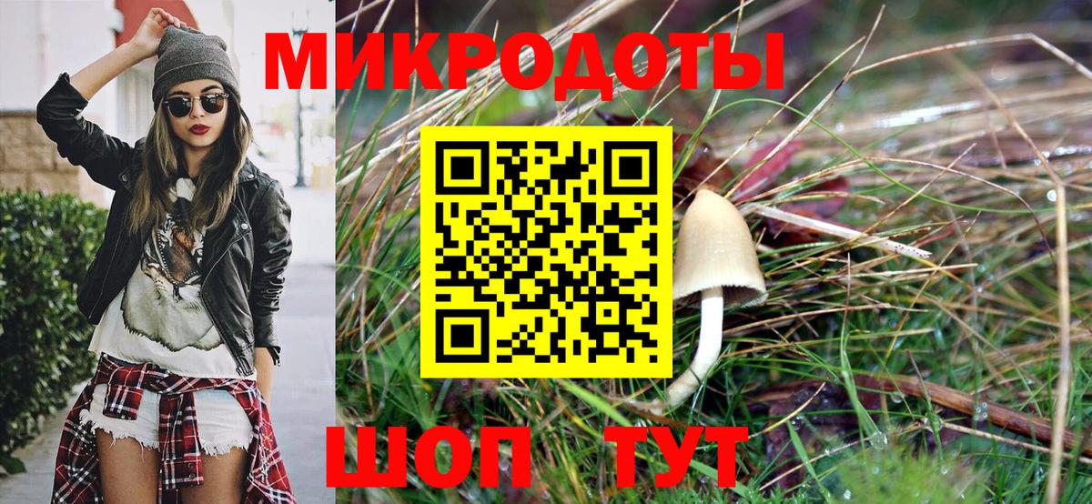 Псилоцибиновые грибы Psilocybine cubensis Тверь