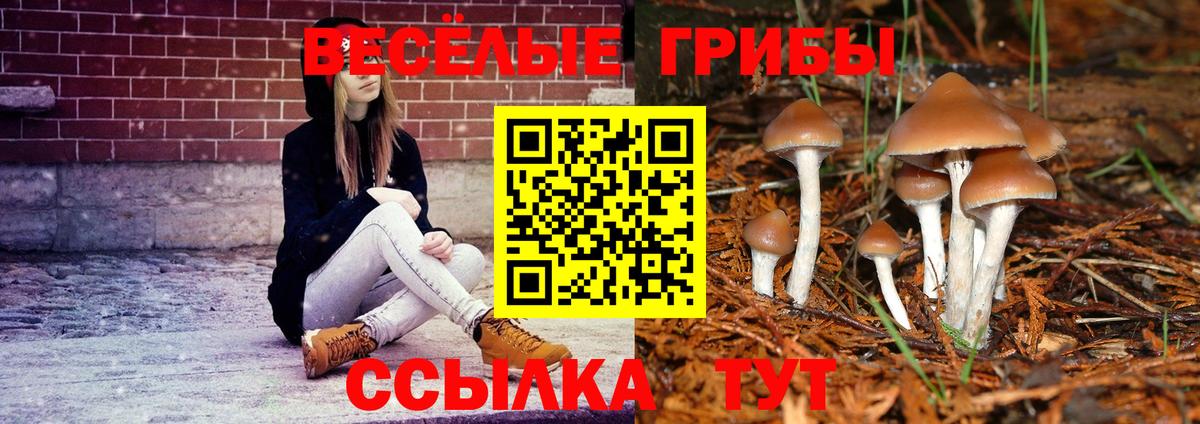 Тверь  Галлюциногенные грибы MAGIC MUSHROOMS  Вход с VPN 